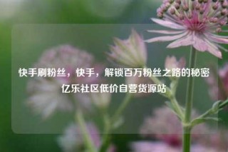 快手刷粉丝，快手，解锁百万粉丝之路的秘密亿乐社区低价自营货源站