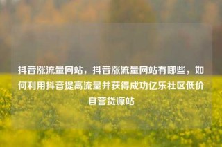 抖音涨流量网站，抖音涨流量网站有哪些，如何利用抖音提高流量并获得成功亿乐社区低价自营货源站