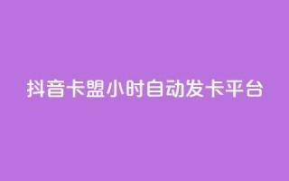 抖音卡盟24小时自动发卡平台,颜夕卡盟 - 全网辅助货源站 - 快手点赞评论软件微信支付
