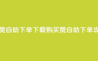 ks买赞自助下单下载(KS购买赞自助下单攻略)