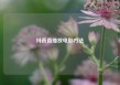 抖音直播放电影方法