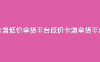 卡盟低价拿货平台(低价卡盟拿货平台)