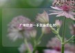 广州包包一手货源怎么找