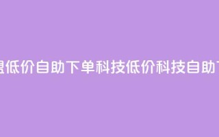 卡盟低价自助下单科技(低价科技自助下单)