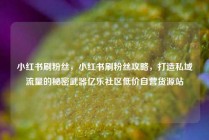 小红书刷粉丝，小红书刷粉丝攻略，打造私域流量的秘密武器亿乐社区低价自营货源站