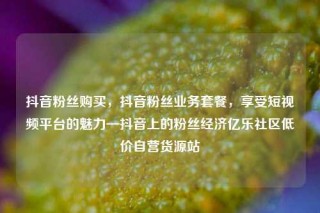 抖音粉丝购买，抖音粉丝业务套餐，享受短视频平台的魅力—抖音上的粉丝经济亿乐社区低价自营货源站