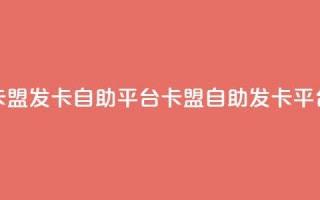 卡盟发卡自助平台(卡盟自助发卡平台)