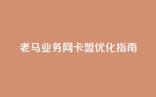 老马业务网卡盟——SEO优化指南
