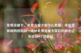 免费流量卡，免费流量卡是什么套路，享受无限制网络自由—揭秘免费流量卡背后的秘密亿乐社区SUP货源站