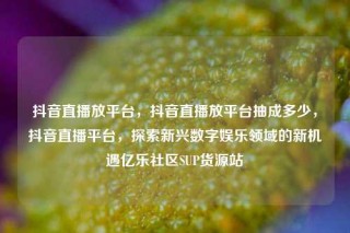 抖音直播放平台，抖音直播放平台抽成多少，抖音直播平台，探索新兴数字娱乐领域的新机遇亿乐社区SUP货源站