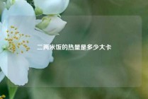 二两米饭的热量是多少大卡