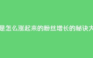 粉丝是怎么涨起来的(粉丝增长的秘诀大揭密)