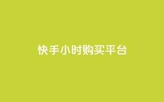 快手24小时购买平台,快手业务平台 - 抖音怎么充值苹果手机 - qq空间访问人数怎么刷上去