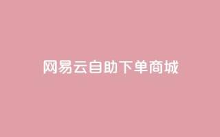网易云24h自助下单商城,dy评论下单 - 快手免费业务平台 - 自助下单商城最低价