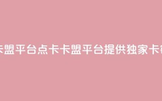 点卡卡盟平台(点卡卡盟平台：提供独家卡密服务)