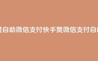 快手赞自助微信支付(快手赞微信支付自助使用)