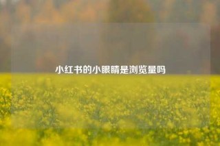 小红书的小眼睛是浏览量吗