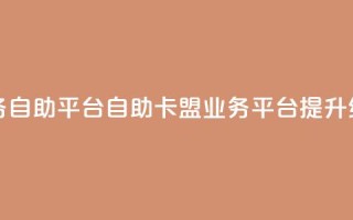 卡盟业务自助平台(自助卡盟业务平台提升经营效率)