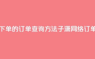 子潇网络下单的订单查询方法(子潇网络订单查询方法)