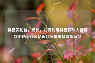 抖音买粉丝，揭秘，如何利用抖音获取大量粉丝的秘密武器亿乐社区低价自营货源站