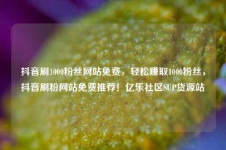 抖音刷1000粉丝网站免费，轻松赚取1000粉丝，抖音刷粉网站免费推荐！亿乐社区SUP货源站
