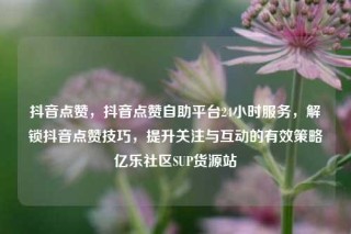 抖音点赞，抖音点赞自助平台24小时服务，解锁抖音点赞技巧，提升关注与互动的有效策略亿乐社区SUP货源站