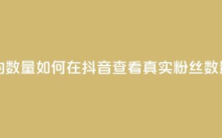 抖音怎么看真粉丝的数量 - 如何在抖音查看真实粉丝数量的方法解析~