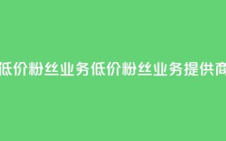 ks低价粉丝业务(低价粉丝业务提供商-KS服务)