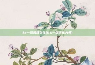 ks一键清理关注(KS一键优化大师)