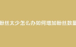 粉丝太少怎么办(如何增加粉丝数量)