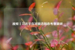 视频丨习近平在河南洛阳市考察调研