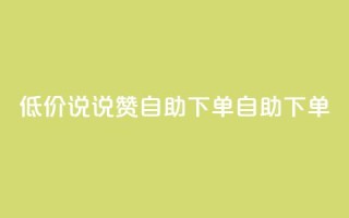 低价说说赞自助下单(自助下单-实惠推荐)