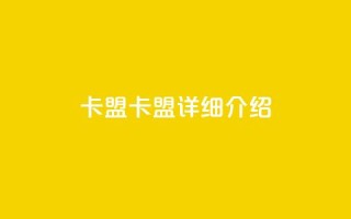 947卡盟(947卡盟详细介绍)