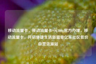 移动流量卡，移动流量卡9元300g官方办理，移动流量卡，开启便捷生活新篇章亿乐社区低价自营货源站
