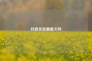 抖音买流量能火吗