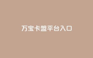 万宝卡盟平台入口,抖音有效粉怎么弄 - dy业务24h - 抖音业务下单24小时涨粉