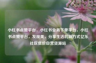 小红书点赞平台，小红书业务下单平台，小红书点赞平台，发现美，分享生活的新方式亿乐社区低价自营货源站