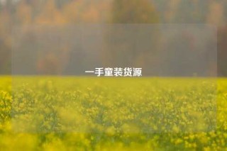 一手童装货源