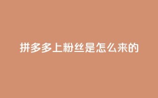 拼多多上粉丝是怎么来的 - 免费快手播放量平台
