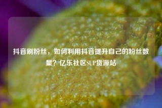抖音刷粉丝，如何利用抖音提升自己的粉丝数量？亿乐社区SUP货源站