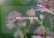 快手50w红心是多少钱