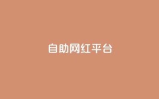 dy自助网红平台,球球商城24小时自助下单网站 - KS免费下载安装 - 自助业务商城