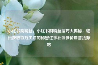 小红书刷粉丝，小红书刷粉丝技巧大揭秘，轻松获取百万关注的秘密亿乐社区低价自营货源站