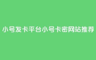 ks小号发卡平台(KS小号卡密网站推荐)