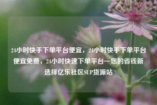 24小时快手下单平台便宜，24小时快手下单平台便宜免费，24小时快速下单平台—您的省钱新选择亿乐社区SUP货源站