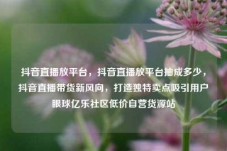 抖音直播放平台，抖音直播放平台抽成多少，抖音直播带货新风向，打造独特卖点吸引用户眼球亿乐社区低价自营货源站