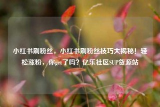 小红书刷粉丝，小红书刷粉丝技巧大揭秘！轻松涨粉，你get了吗？亿乐社区SUP货源站
