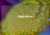 货源批发网1688