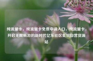 纯流量卡，纯流量卡免费申请入口，纯流量卡，开启无限畅游的新时代亿乐社区低价自营货源站