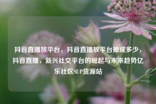 抖音直播放平台，抖音直播放平台抽成多少，抖音直播，新兴社交平台的崛起与未来趋势亿乐社区SUP货源站